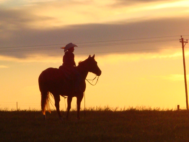 Ranch/CowboyWay.JPG